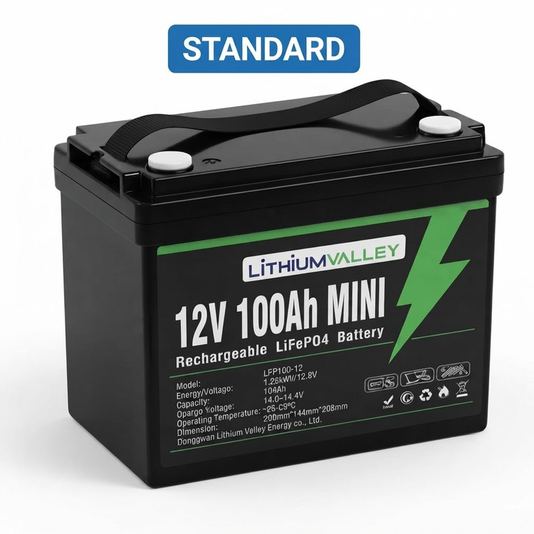 باتری لیتیوم آهن فسفات شارژی 1.28 کیلوواتساعت مدل LFP100-12-MINI لیتیوم ولی